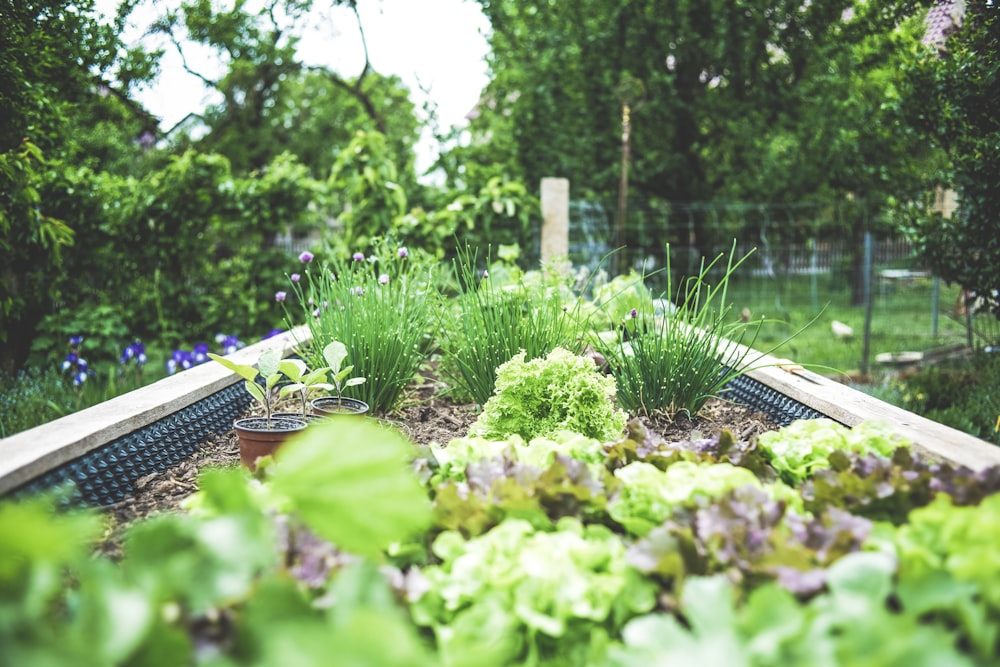Mulch, Rock & Garden Bed Installation by Mackay's Landscaping