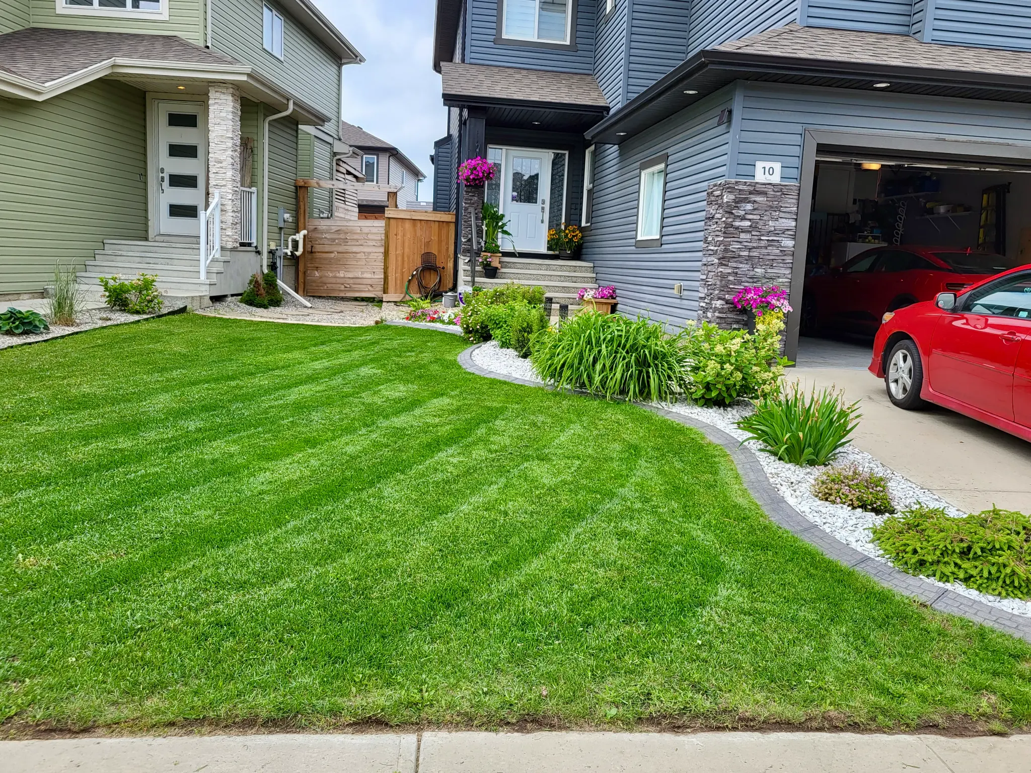 Fencing & Sod Installation
