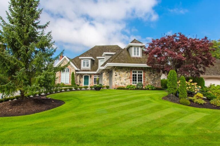 Residential Lawn Maintenance
